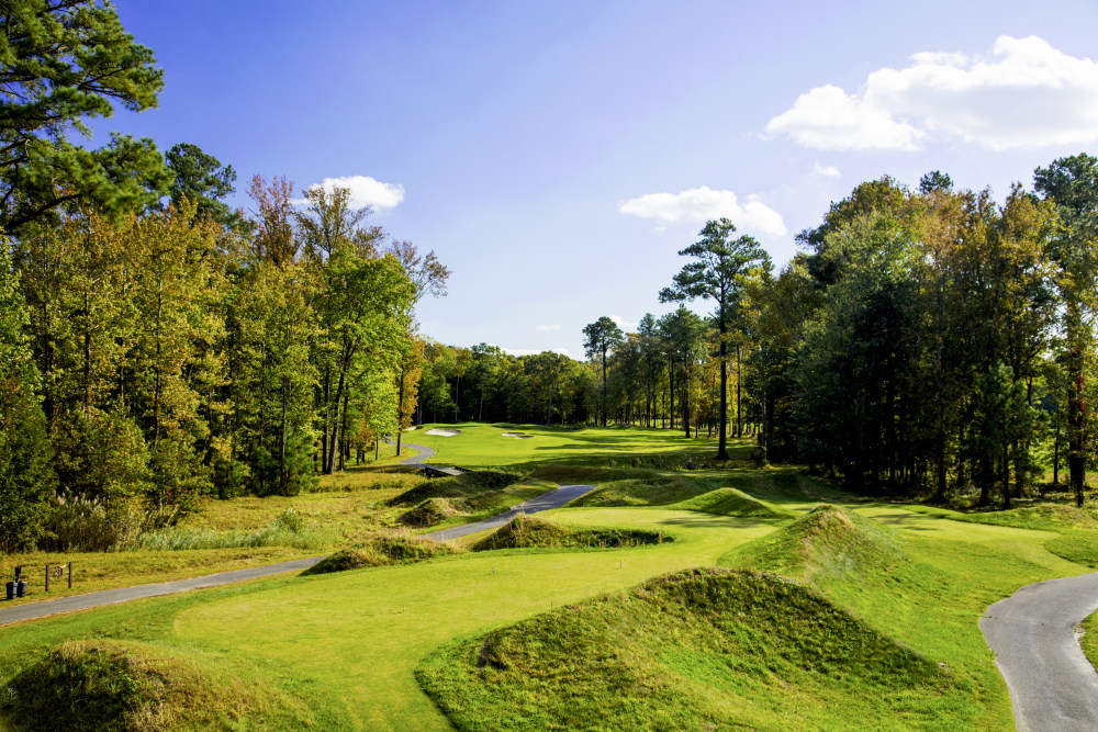 Road for golf carts in between trees