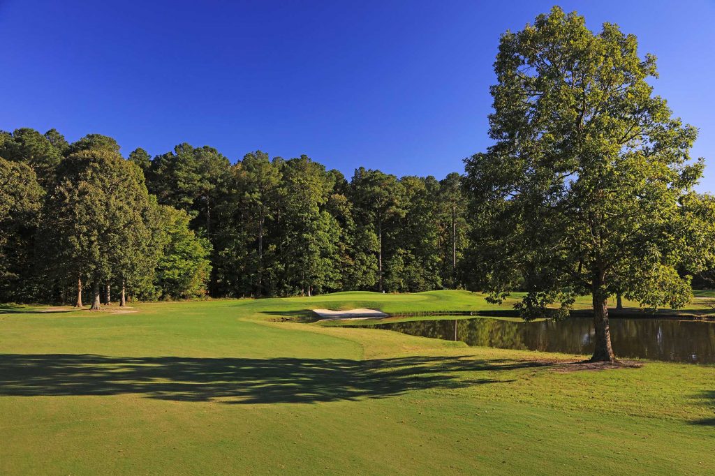 Golf course next to pond and tree