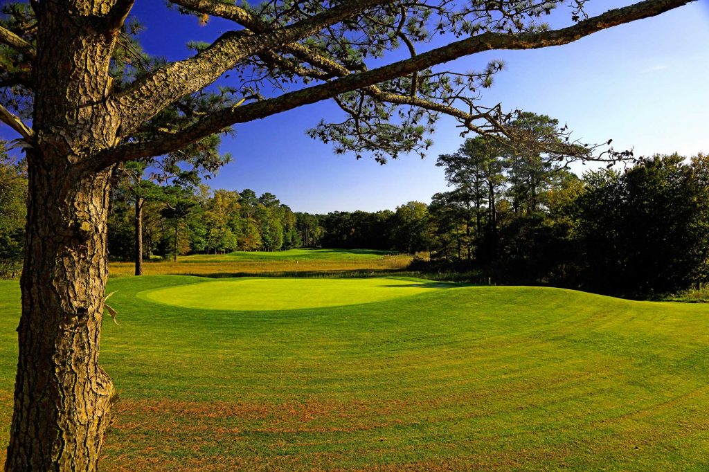 golf course from the trees