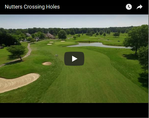 nutters hole video image